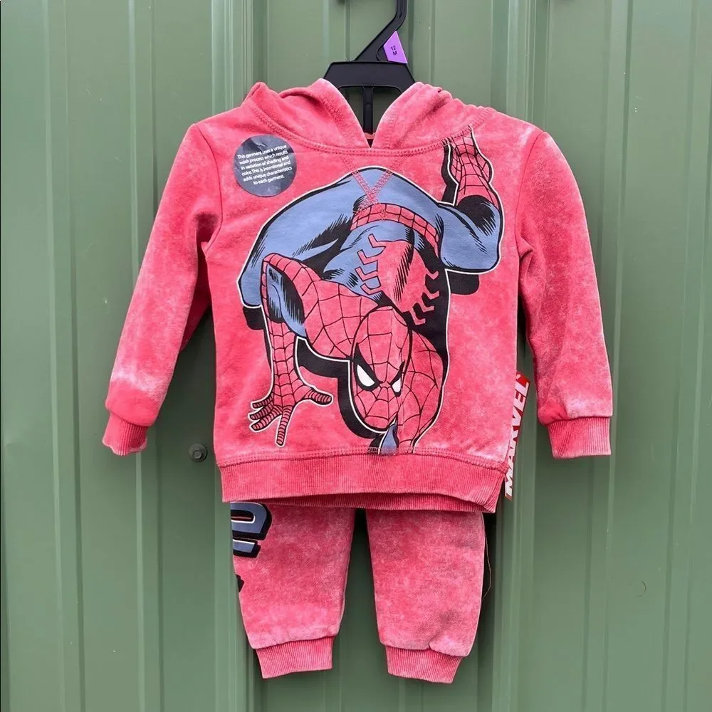 Baby Boys Graphic Hoodie & Jogger Pants 4, 2-Piece Sets Size 12M